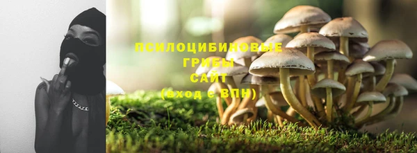 круглые Алексеевка